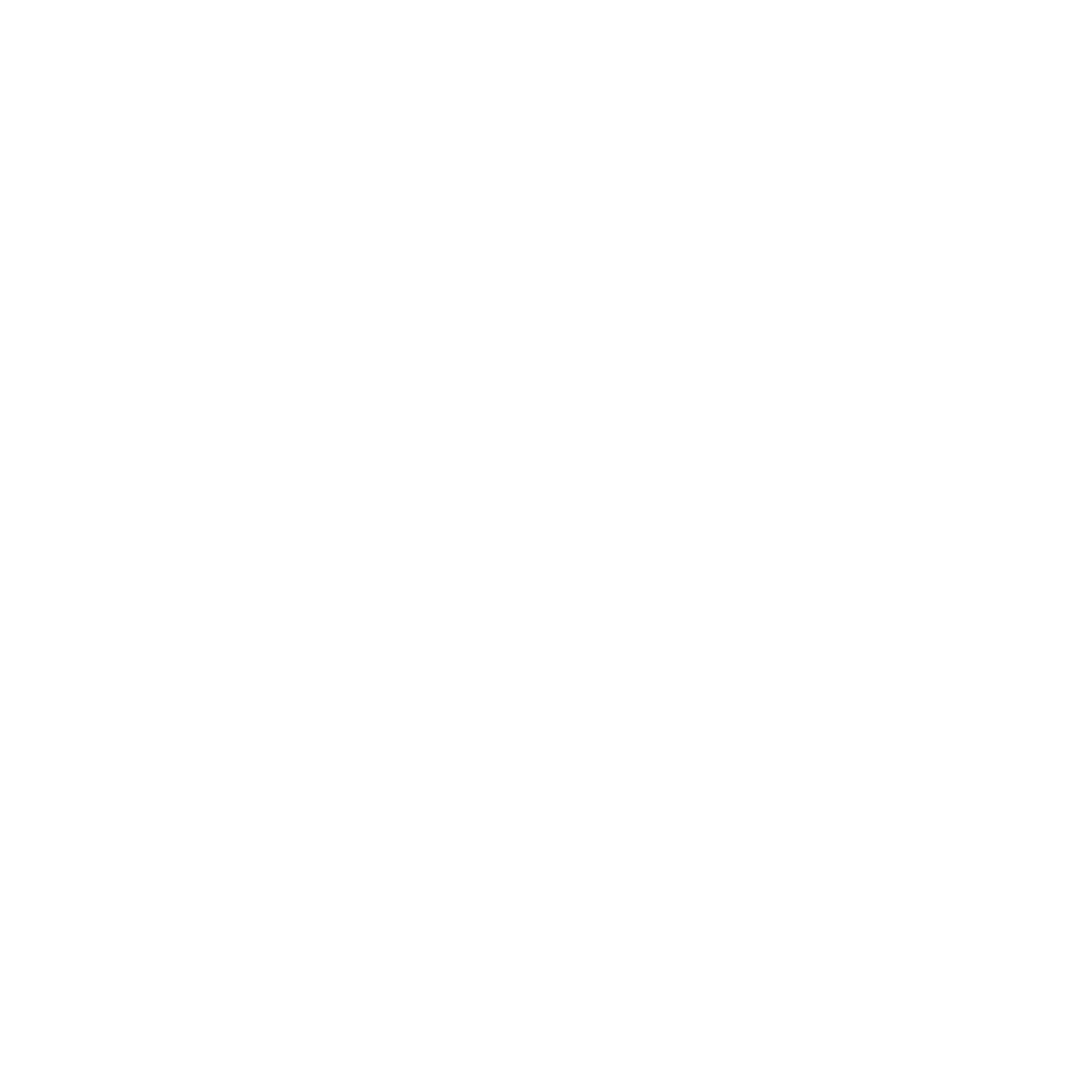 FECH Logo